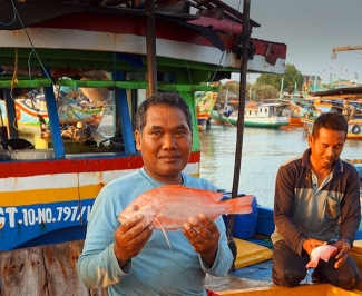 Engaging Indonesian fishing crews in sustainable fisheries management
