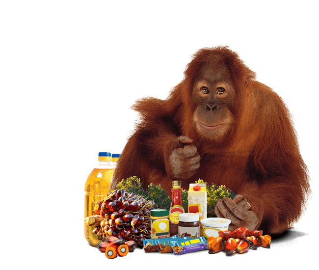 Scoring the buyers of sustainable palm oil