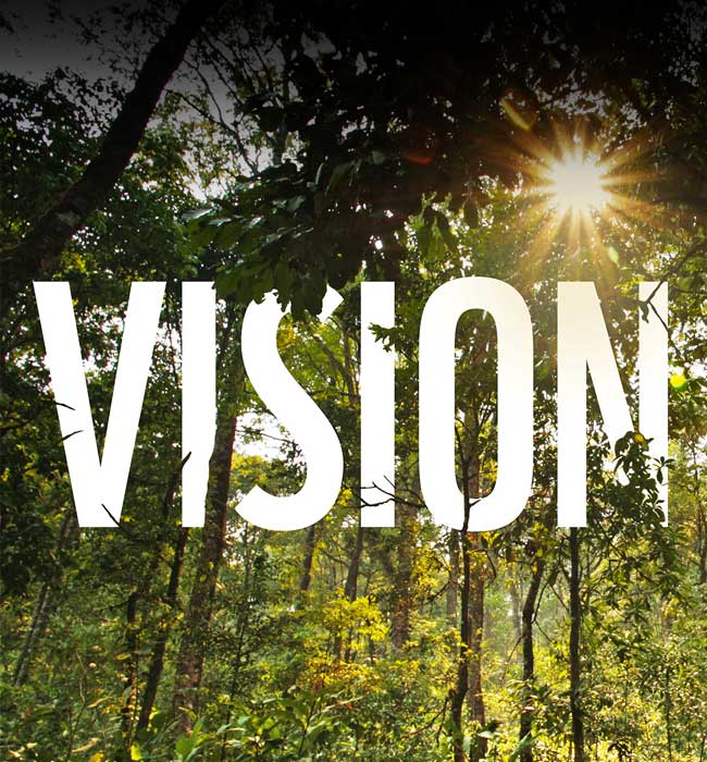 A visual journey into WWF's conservation work in Myanmar